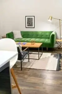 a room with a green couch.